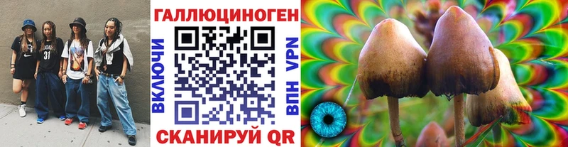 сколько стоит  Саратов  Псилоцибиновые грибы MAGIC MUSHROOMS 