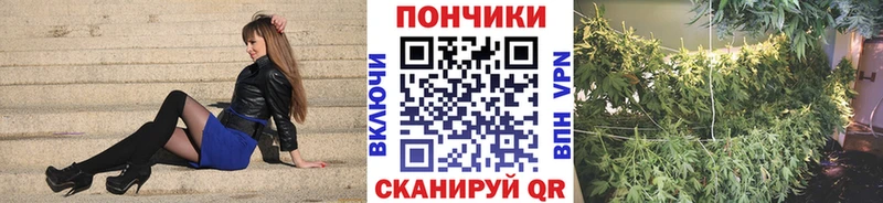 Канабис ГИДРОПОН MEGA ссылка Саратов закладка